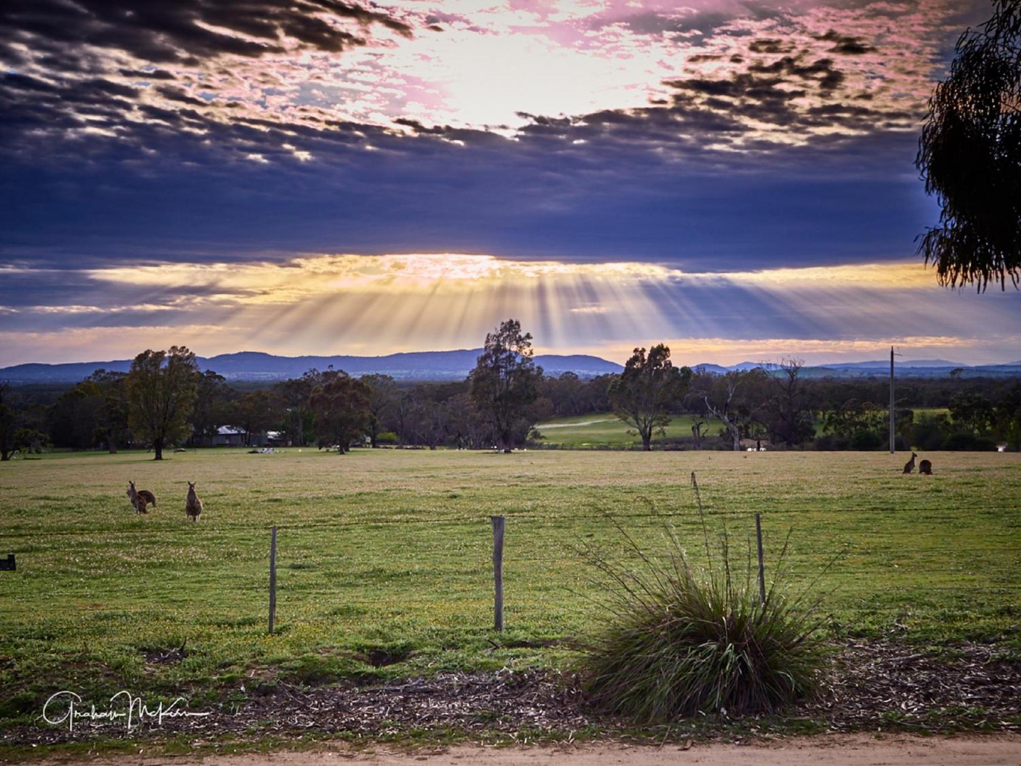 Grampians Pioneer Cottages Halls Gap Dış mekan fotoğraf